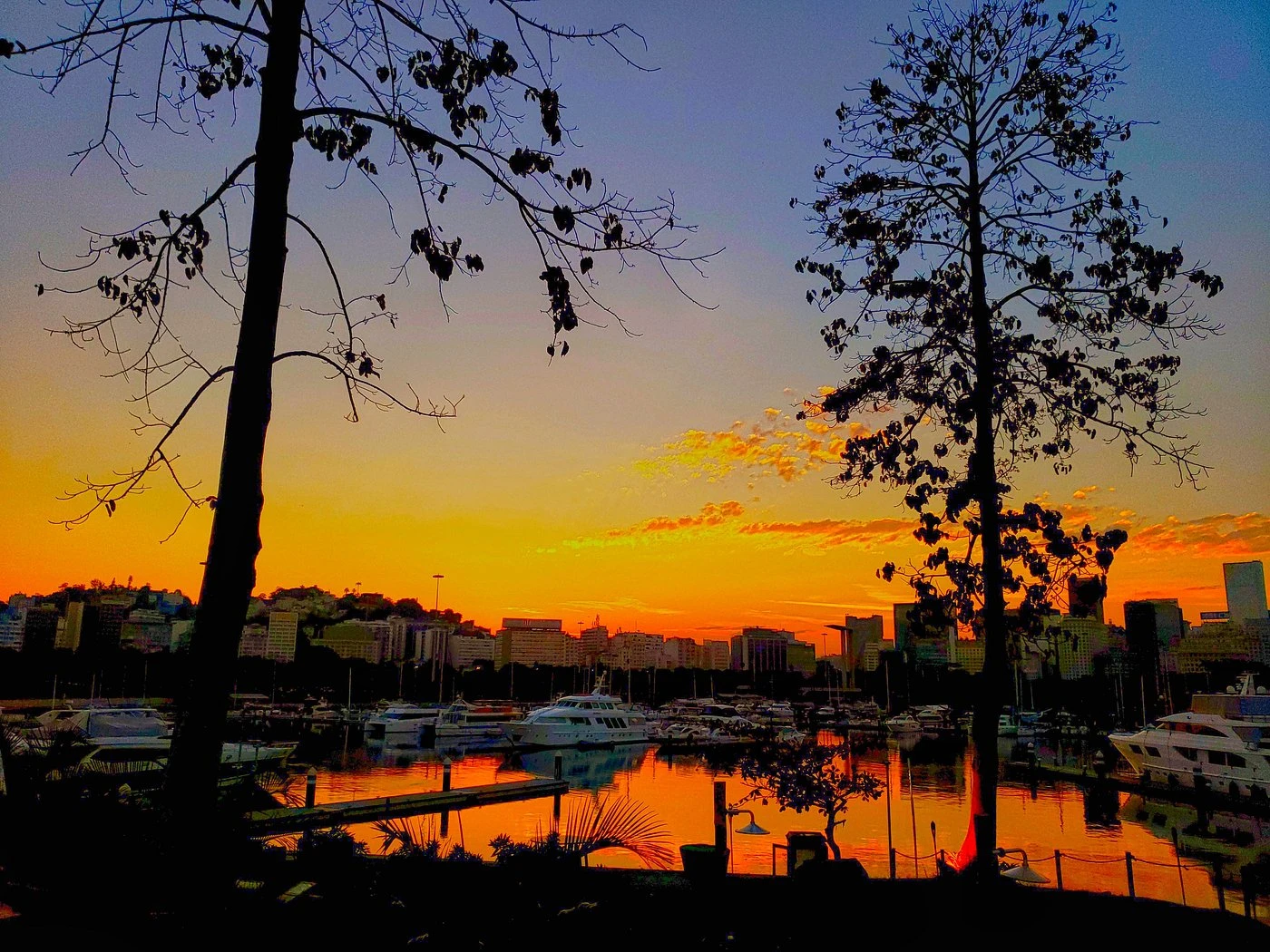 Italian Tasting - Wine & Bay View - Image